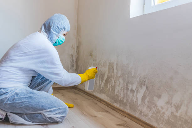 Commercial Mold Remediation assessment for commercial property in Summit
